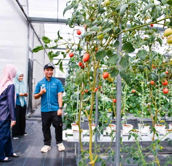Lawatan ke Kekebun Sdn. Bhd