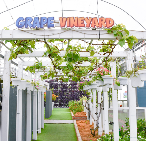 Lawatan ke Kekebun Sdn. Bhd