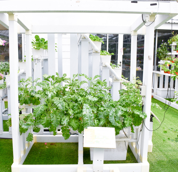 Lawatan ke Kekebun Sdn. Bhd
