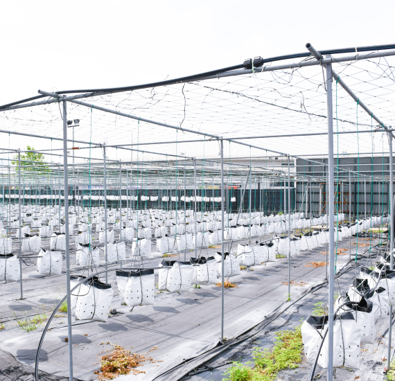 Lawatan ke Kekebun Sdn. Bhd