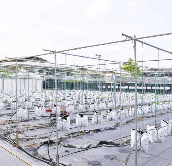 Lawatan ke Kekebun Sdn. Bhd