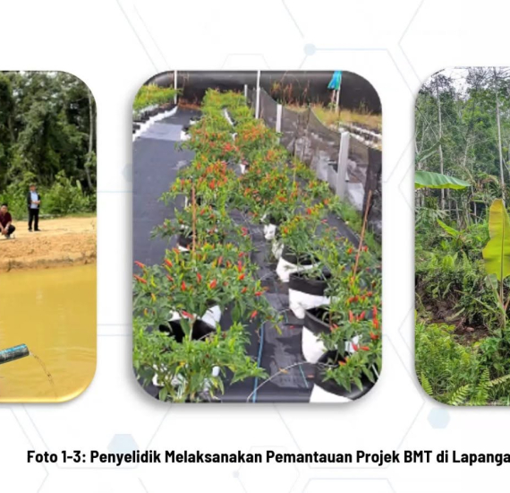 pl8 2025